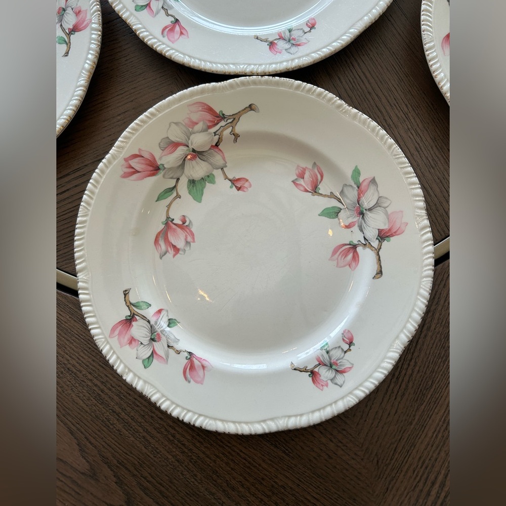 Vintage 1954 Homer Laughlin Dogwood Pattern 9 inch dinner plates (set of 6)